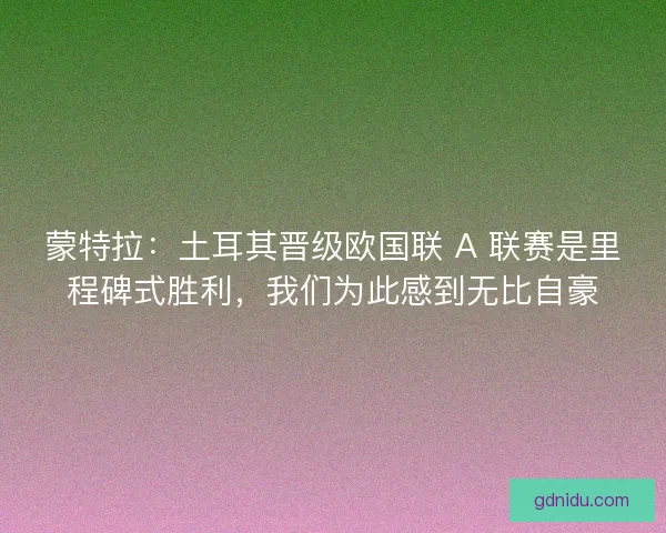 蒙特拉：土耳其晋级欧国联 A 联赛是里程碑式胜利，我们为此感到无比自豪